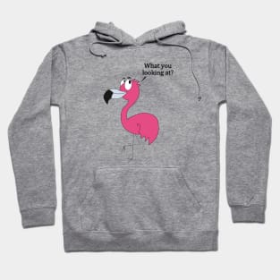 Carlos the Paranoid Flamingo Hoodie